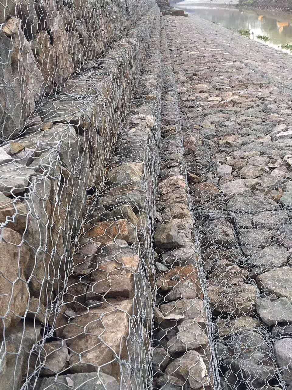 格宾网